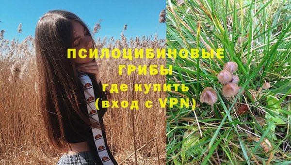 прущая мука Заводоуковск