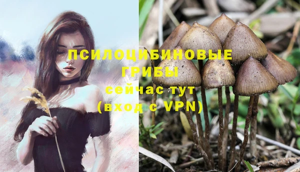 трава Заволжье
